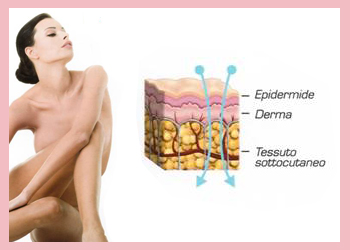 New Body Benessere | Rovigo | Viale Porta Adige, 45 | Termic Filling Evolution